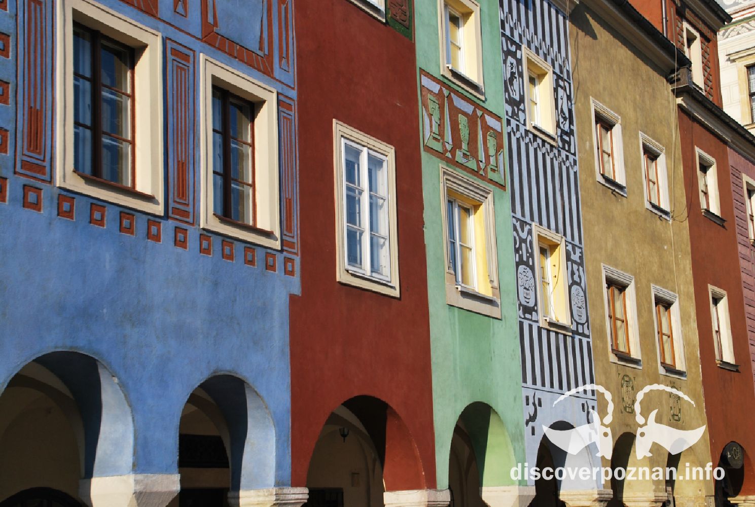 Discover poznan_zwiedzanie poznania_przewodnik Poznan (3)